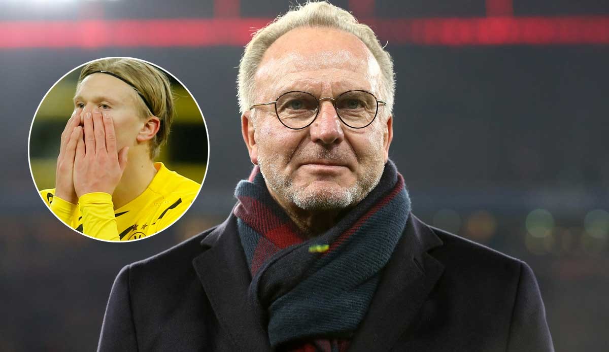 场边教练的表情太真实（场边教练的表情太到位）